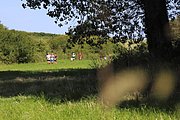 IMG_5943.jpeg.jpg