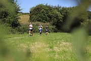 IMG_5948.jpeg.jpg