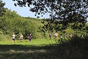 IMG_5982.jpeg.jpg