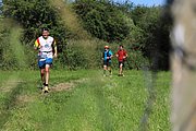 IMG_6130.jpeg.jpg