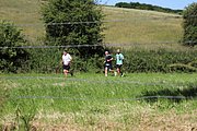 IMG_6164.jpeg.jpg