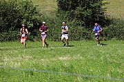 IMG_6196.jpeg.jpg