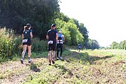 IMG_6272.jpeg.jpg