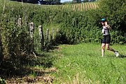 IMG_6301.jpeg.jpg