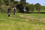 IMG_6342.jpeg.jpg