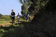 IMG_6386.jpeg.jpg