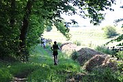 IMG_6493.jpeg.jpg