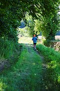 IMG_6564.jpeg.jpg