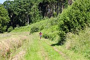 IMG_6649.jpeg.jpg