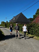 IMG_6729.jpg