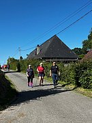 IMG_6733.jpg