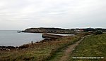 0003-IMG_5561.jpg