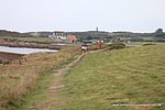 003-IMG_4733.jpg
