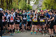 IMG_2636.jpg