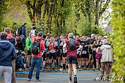IMG_2638.jpg