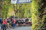 IMG_2640.jpg