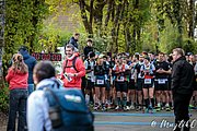 IMG_2643.jpg