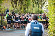IMG_2646.jpg