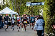 IMG_2652.jpg