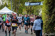 IMG_2654.jpg