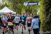 IMG_2655.jpg