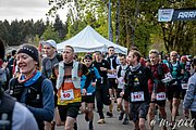 IMG_2660.jpg