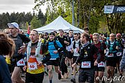 IMG_2661.jpg