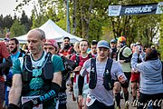 IMG_2667.jpg