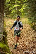 IMG_2734.jpg