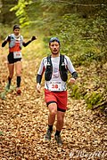 IMG_2774.jpg