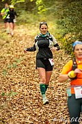 IMG_2954.jpg
