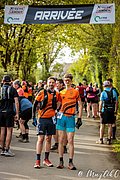 IMG_3033.jpg