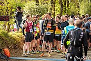 IMG_3053.jpg