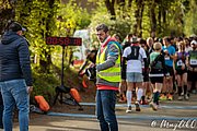 IMG_3059.jpg