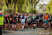 IMG_3061.jpg