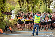 IMG_3065.jpg