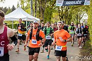 IMG_3082.jpg