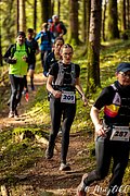 IMG_3381.jpg