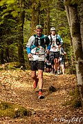 IMG_3750.jpg