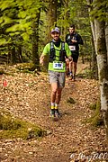 IMG_3784.jpg