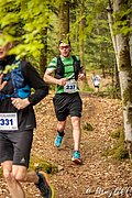 IMG_3794.jpg
