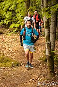 IMG_3862.jpg