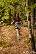 IMG_3937.jpg