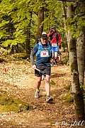 IMG_3949.jpg