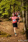 IMG_3978.jpg