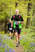 IMG_4271.jpg
