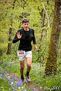IMG_4319.jpg