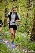 IMG_4324.jpg