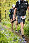 IMG_4425.jpg