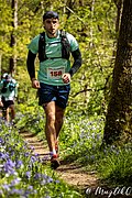 IMG_4599.jpg